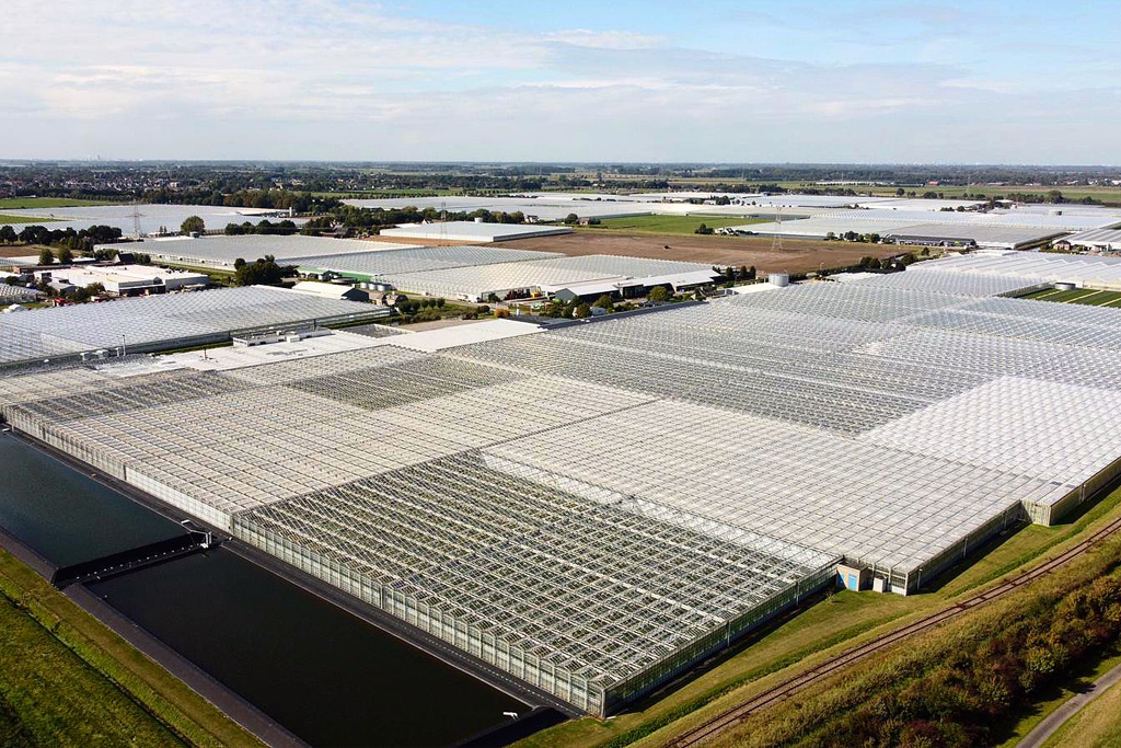 Made Plukmade Glastuinbouw