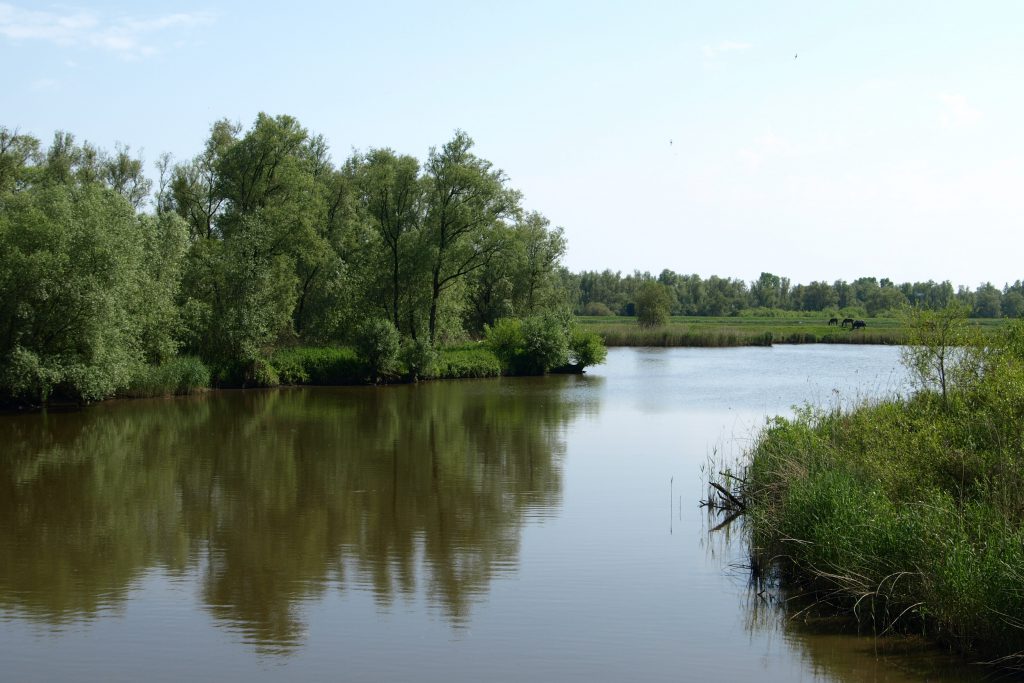 Werken aan duurzame dorpen mét inwoners