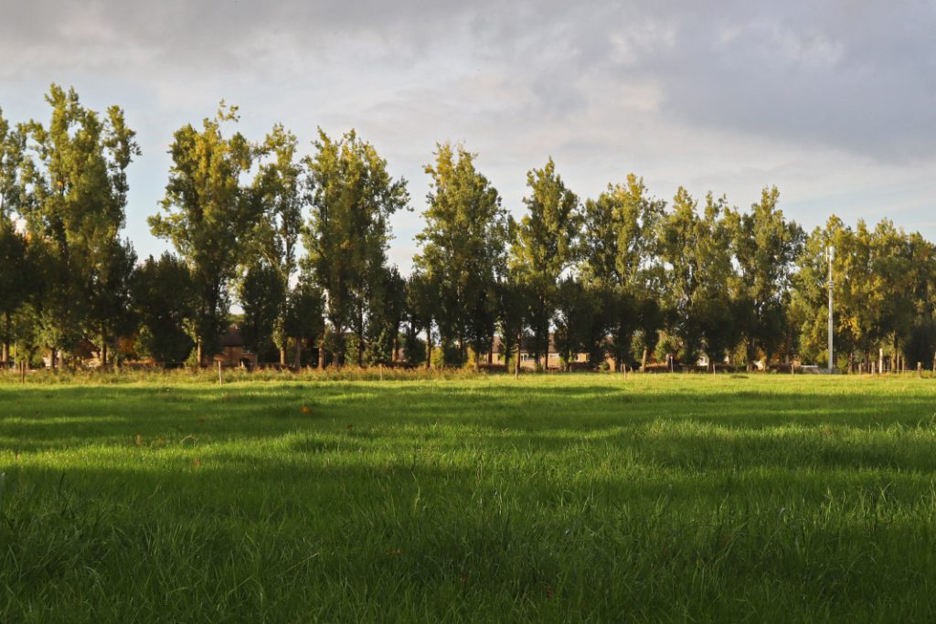 Wind in de rug voor Noodplan Bouwen VVD
